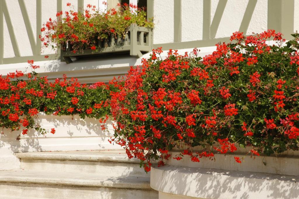Bed and Breakfast Manoir De Benerville Deauville Exteriér fotografie